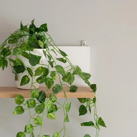 Апартаменты Comfortable Wojskowa By Renters *