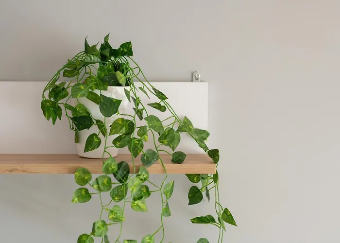 شقة Comfortable Wojskowa By Renters *